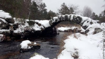 (Cr&eacute;dit : Pascal Coussy)